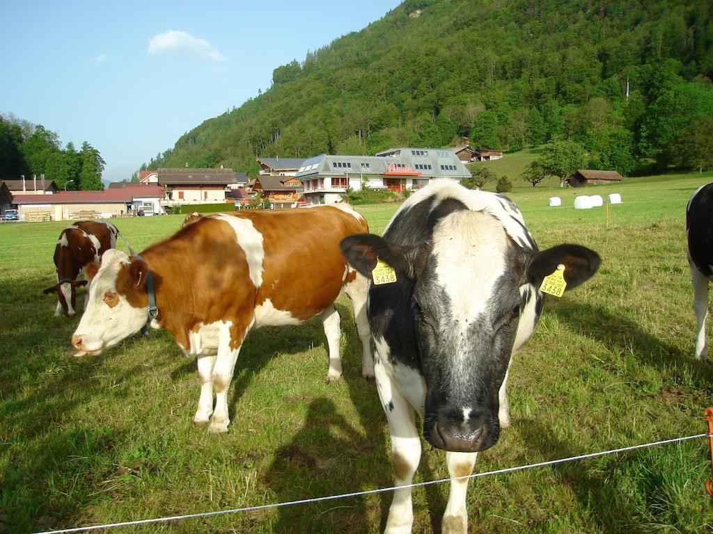Hotel Milan B&B Ringgenberg Bagian luar foto